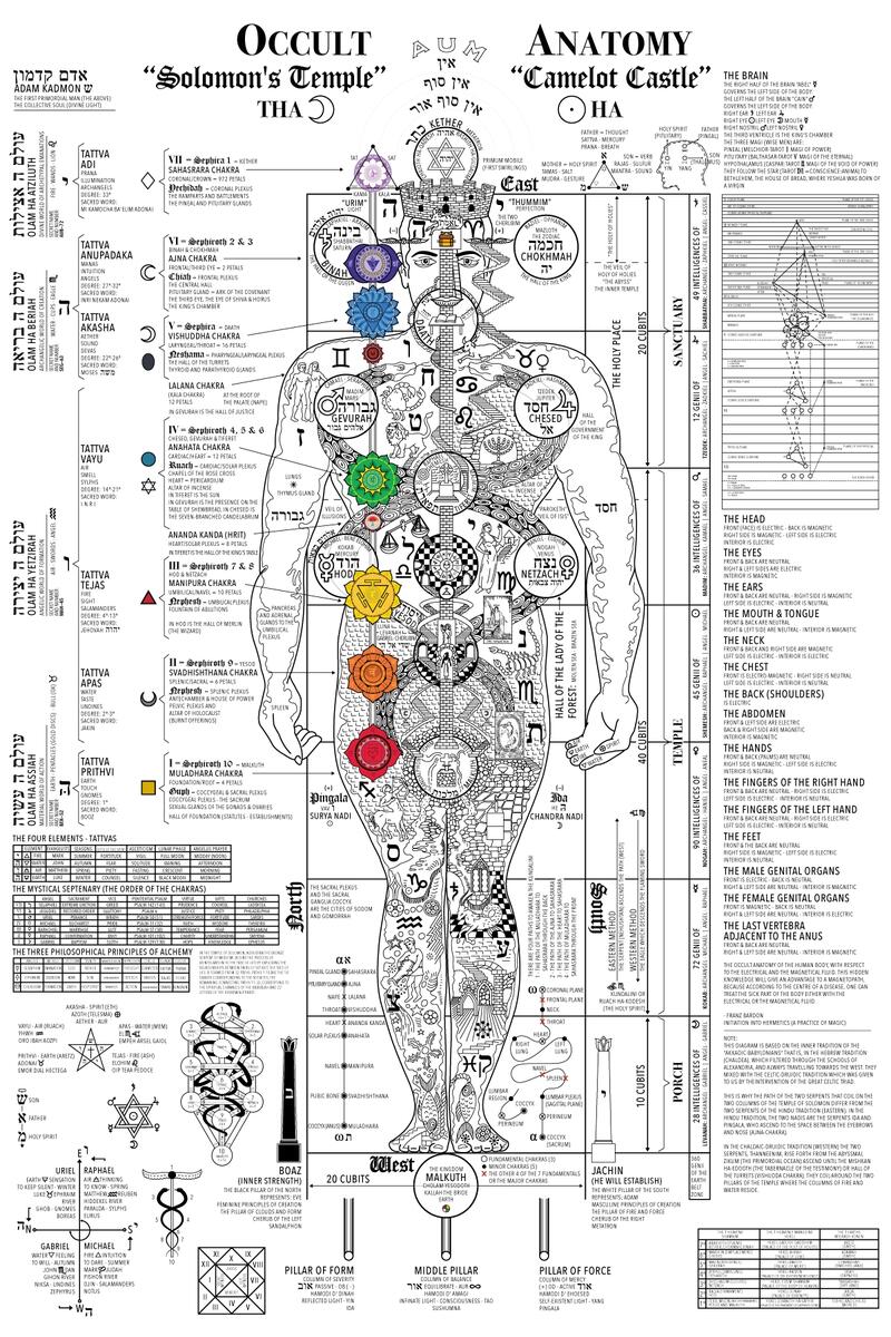 The Occult Anatomy 2020 Edition This Diagram Represents 7 Years Of Study Research And Illustration R Occult The Occult Anatomy 2020 Edition This Diagram Represents 7 Years Of Study Research And Illustration R Occult