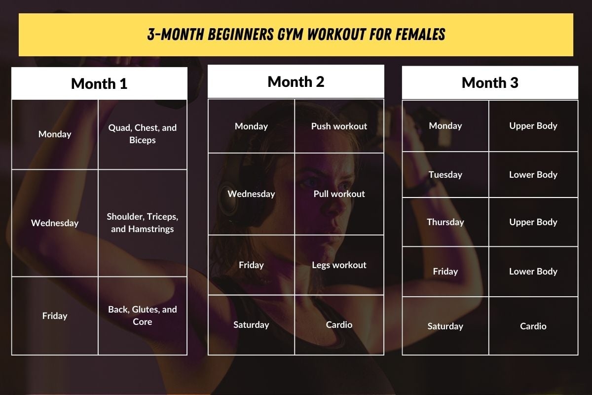 The Perfect 3 Month Gym Workout Plan For Women Free PDF