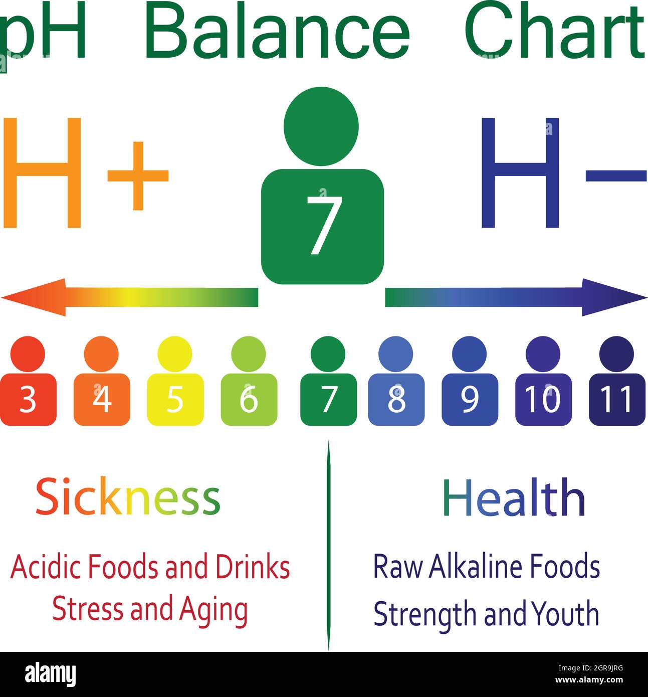 What Is PH Balance In The Human Body HEALTHIANS BLOG