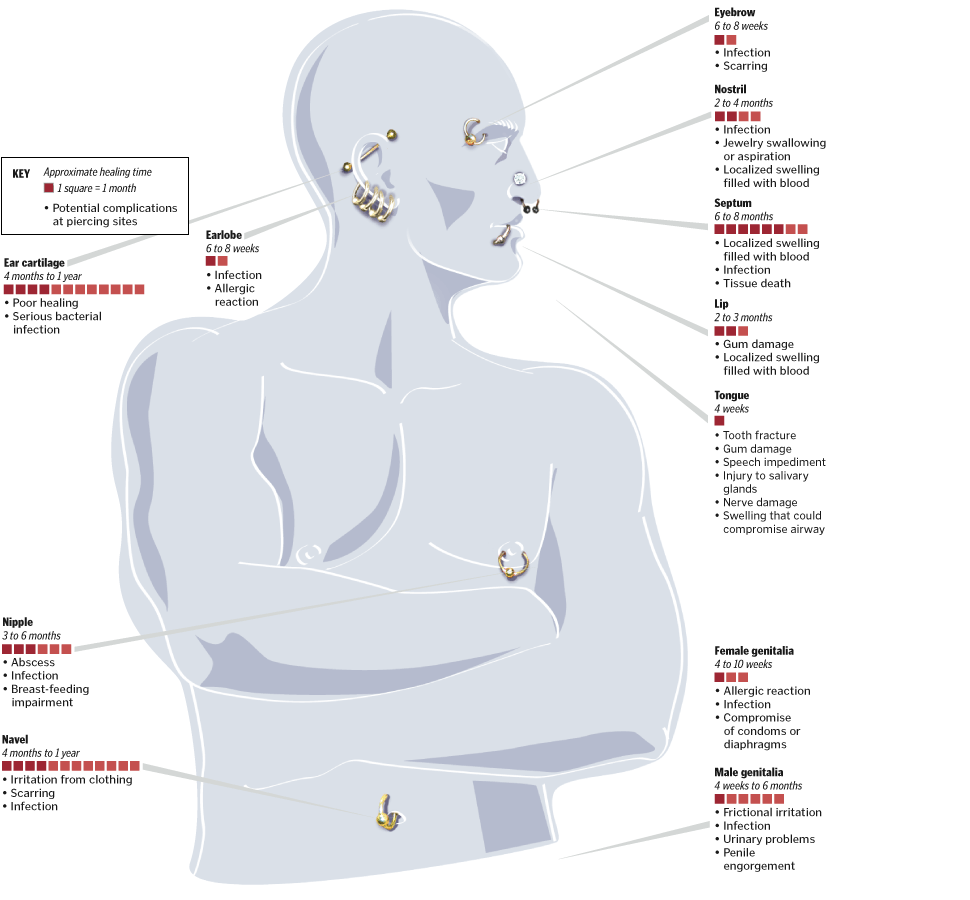 The Price Of Piercing Cool Infographics The Price Of Piercing Cool Infographics