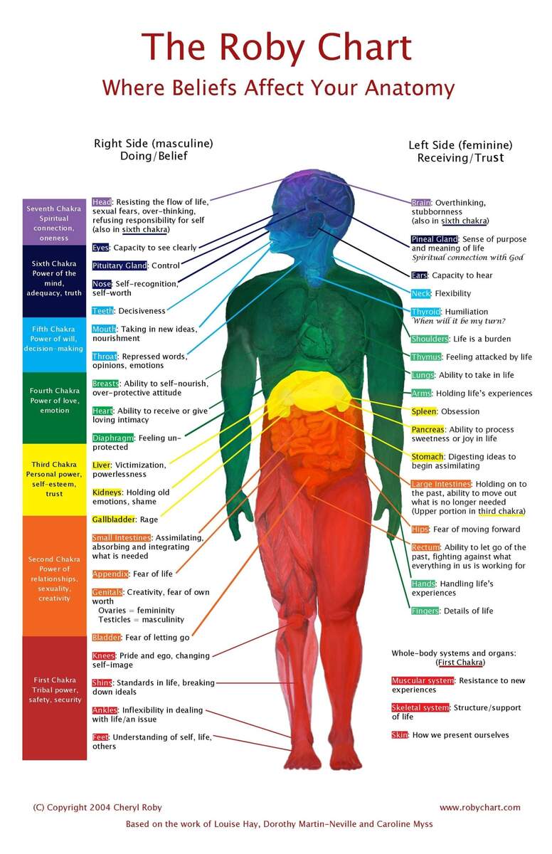 The Roby Chart 11x17 Poster Showing Where Beliefs Affect Your Anatomy Etsy