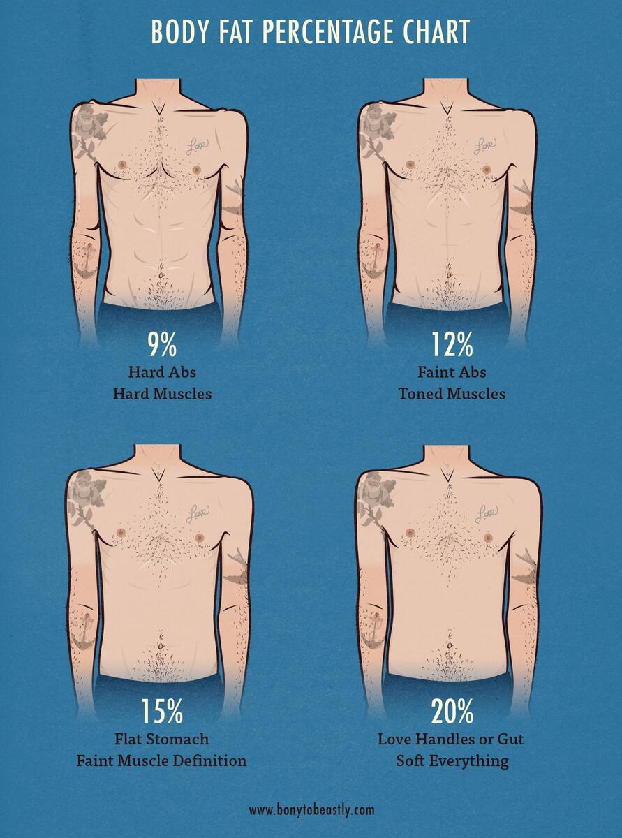 The Skinny Guy S Guide To Body Fat Percentage The Skinny Guy S Guide To Body Fat Percentage