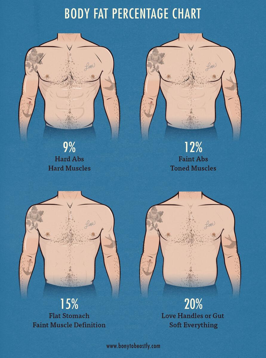 The Skinny Guy S Guide To Body Fat Percentage