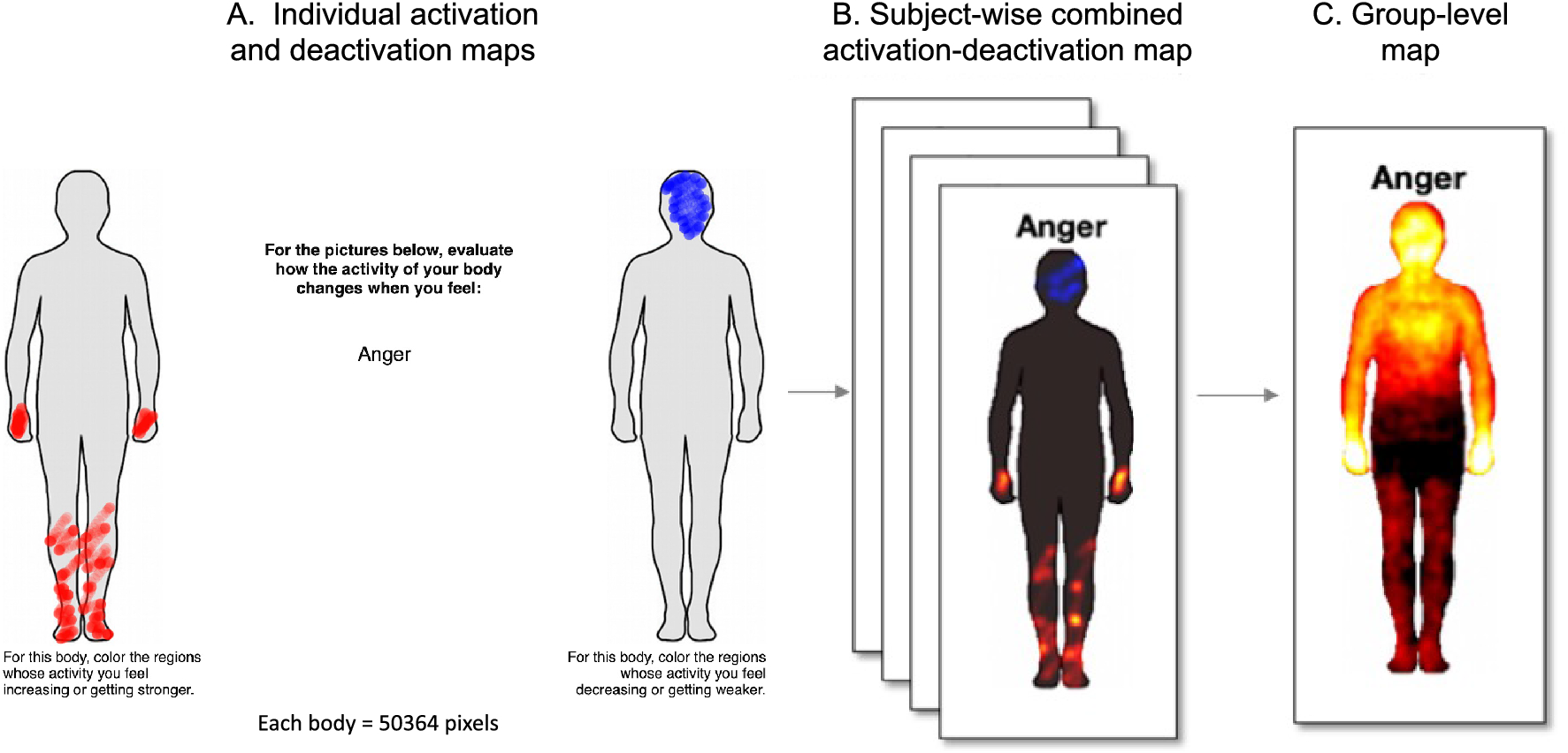 The Utility Of The EmBODY Tool As A Novel Method Of Studying Complex Phenomena Related Emotions Scientific Reports
