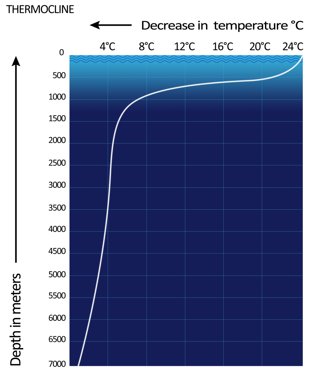 Thermocline Wikipedia Thermocline Wikipedia