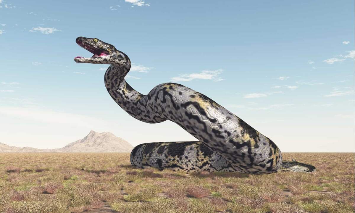 Titanoboa Size Just How Big Was The Titanoboa A Z Animals