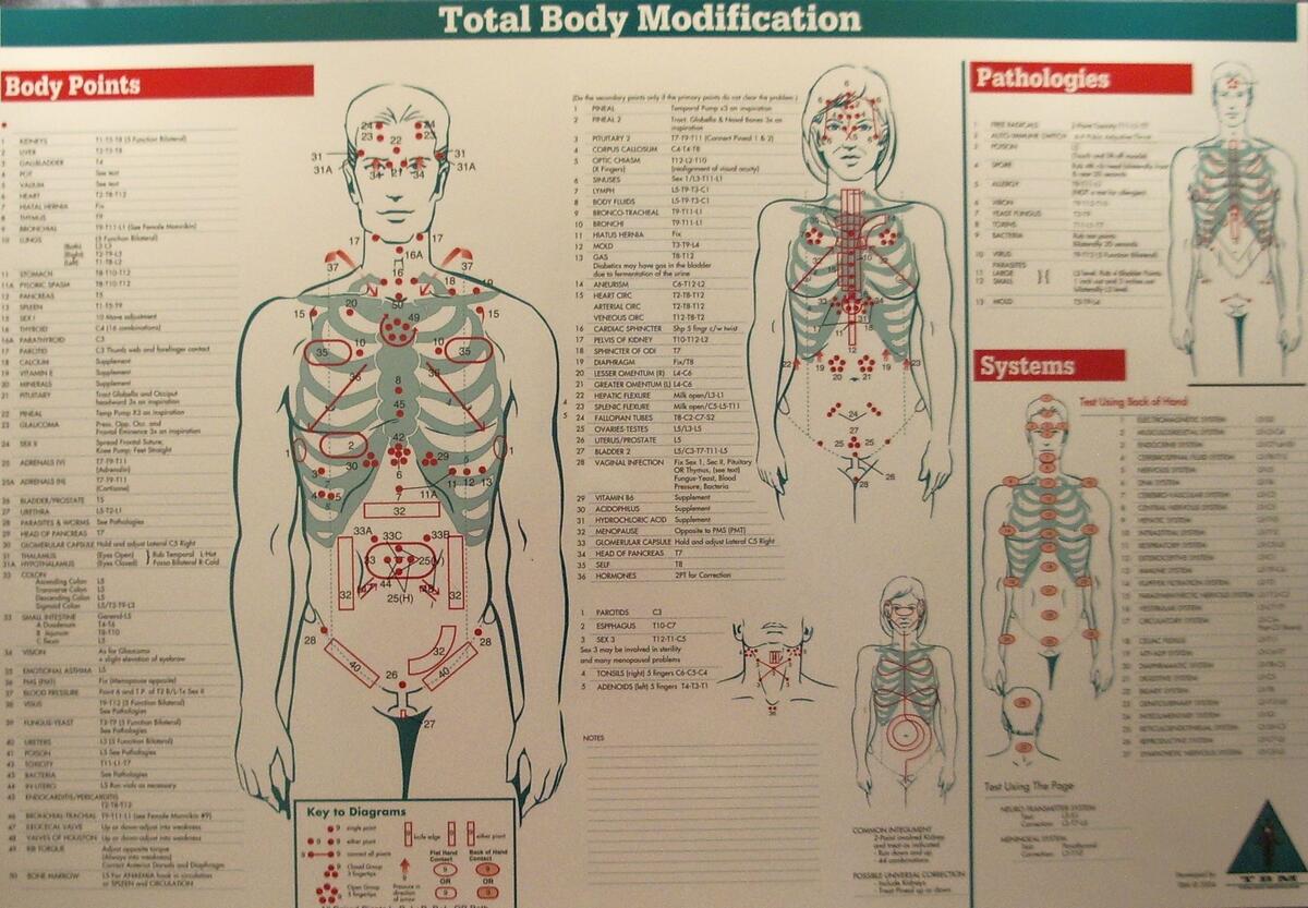 Total Body Modification TBM Chiropractic First S Blog Total Body Modification TBM Chiropractic First S Blog