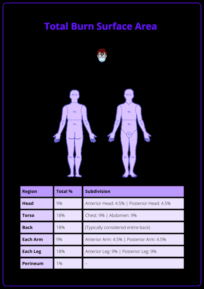 Total Body Surface Area Calculations In Burns