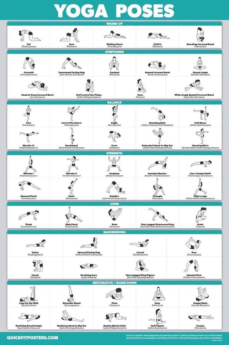 Total Gym Exercise Chart Weider Body Works Weider Ultimate Body Works Weider Total Gym Exercise Chart
