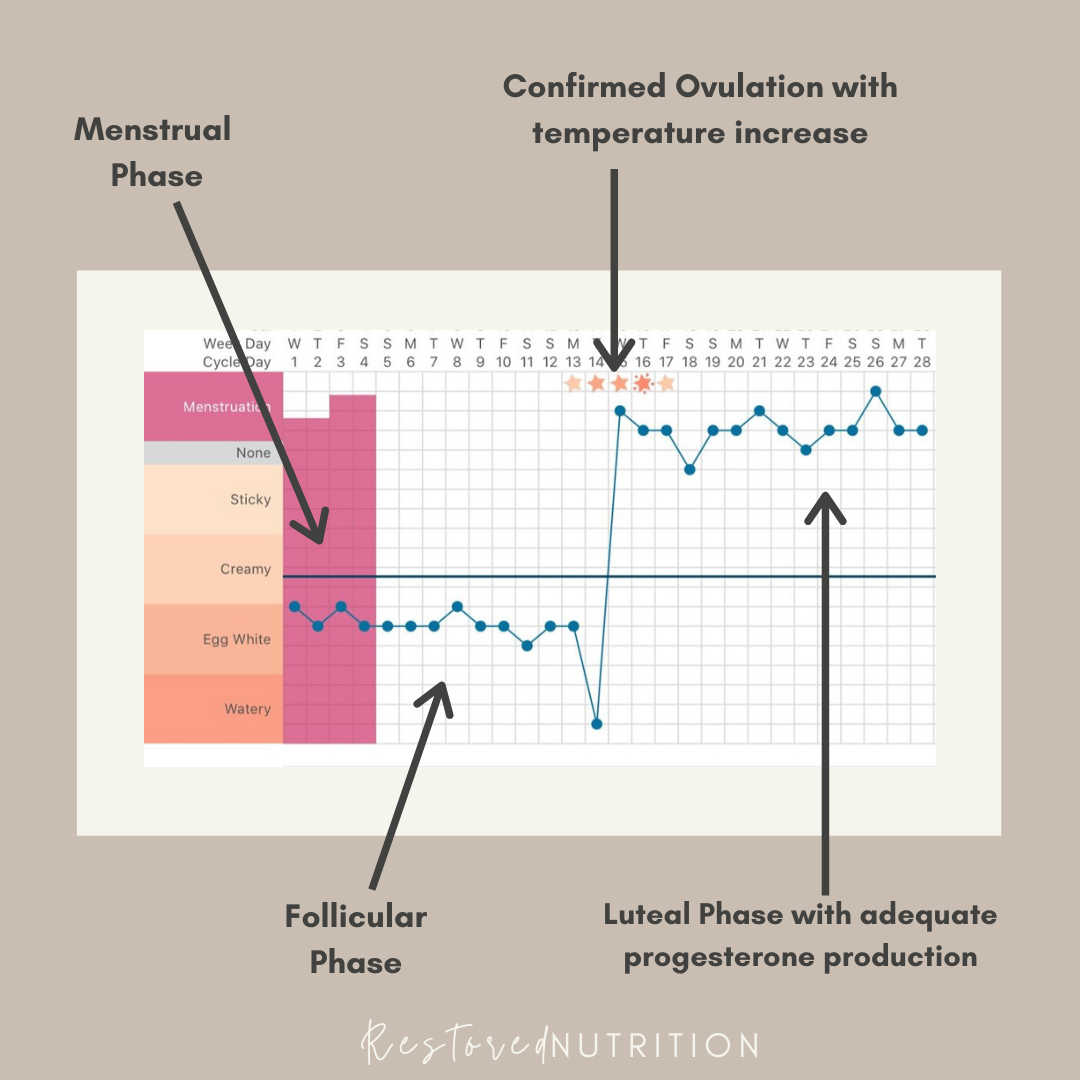 Tracking Basal Body Temperature For Hormone Health Restored Nutrition