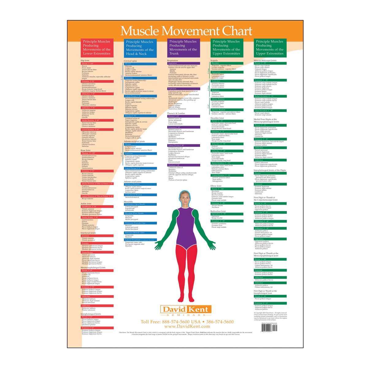 Trigger Point Chart Muscle Movement Therapy Charts Awesome Chart For Finding Bodyweight Exercises For Every Body Part