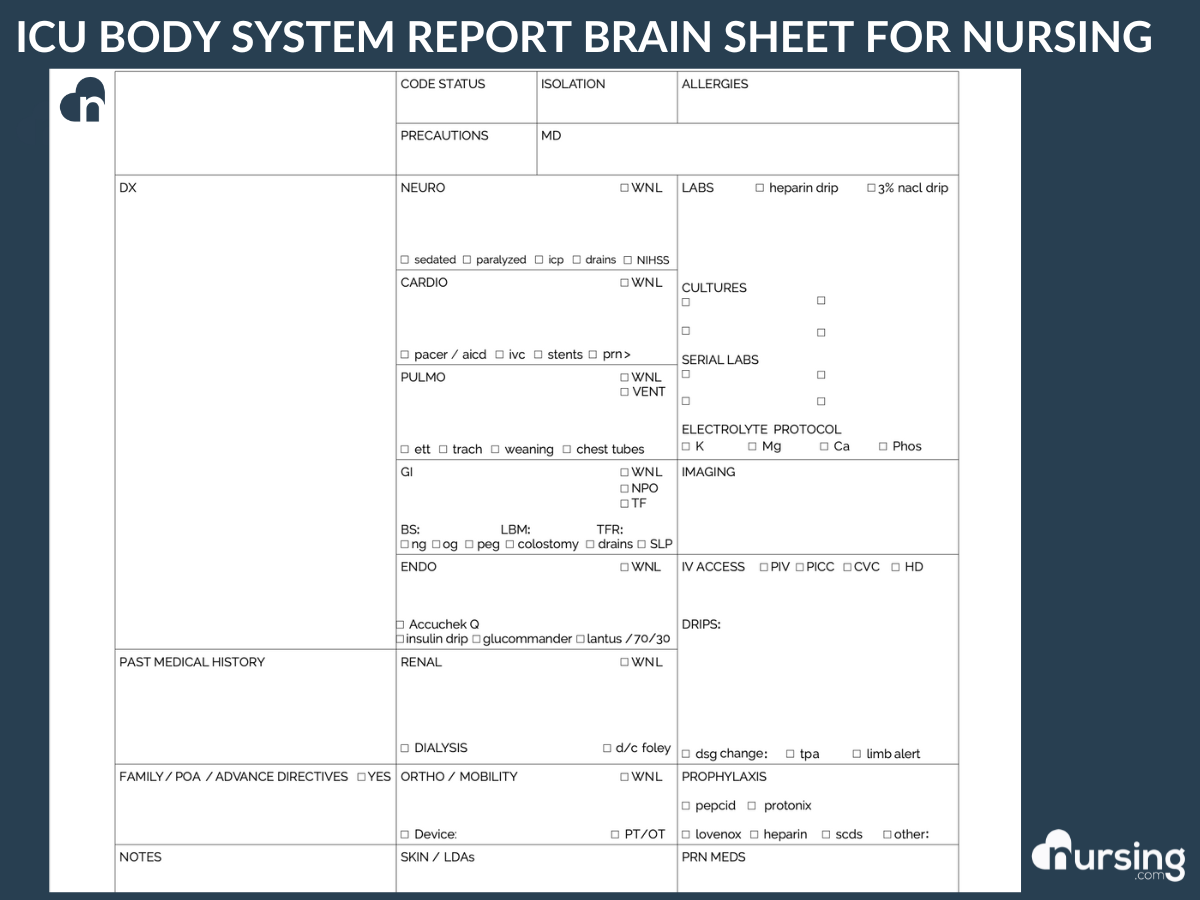 Ultimate Nursing Report Sheet Database Free Downloads Amazon Human Body System Anatomy Card 1 Set Medical Nursing Learning Guide With Rings Portable Learning Card For Students Gift For Students Square Nursing Flashcards Toys Games
