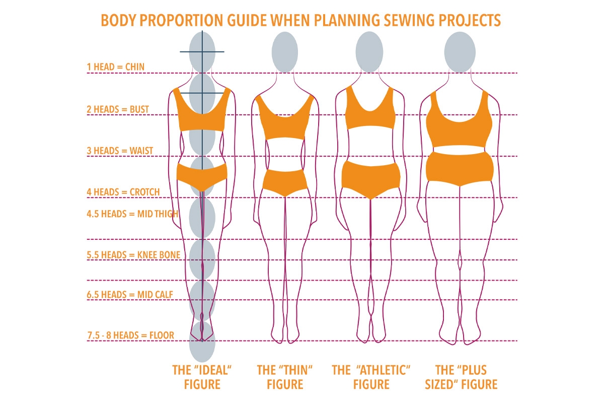 Understanding Body Proportions The Creative Curator