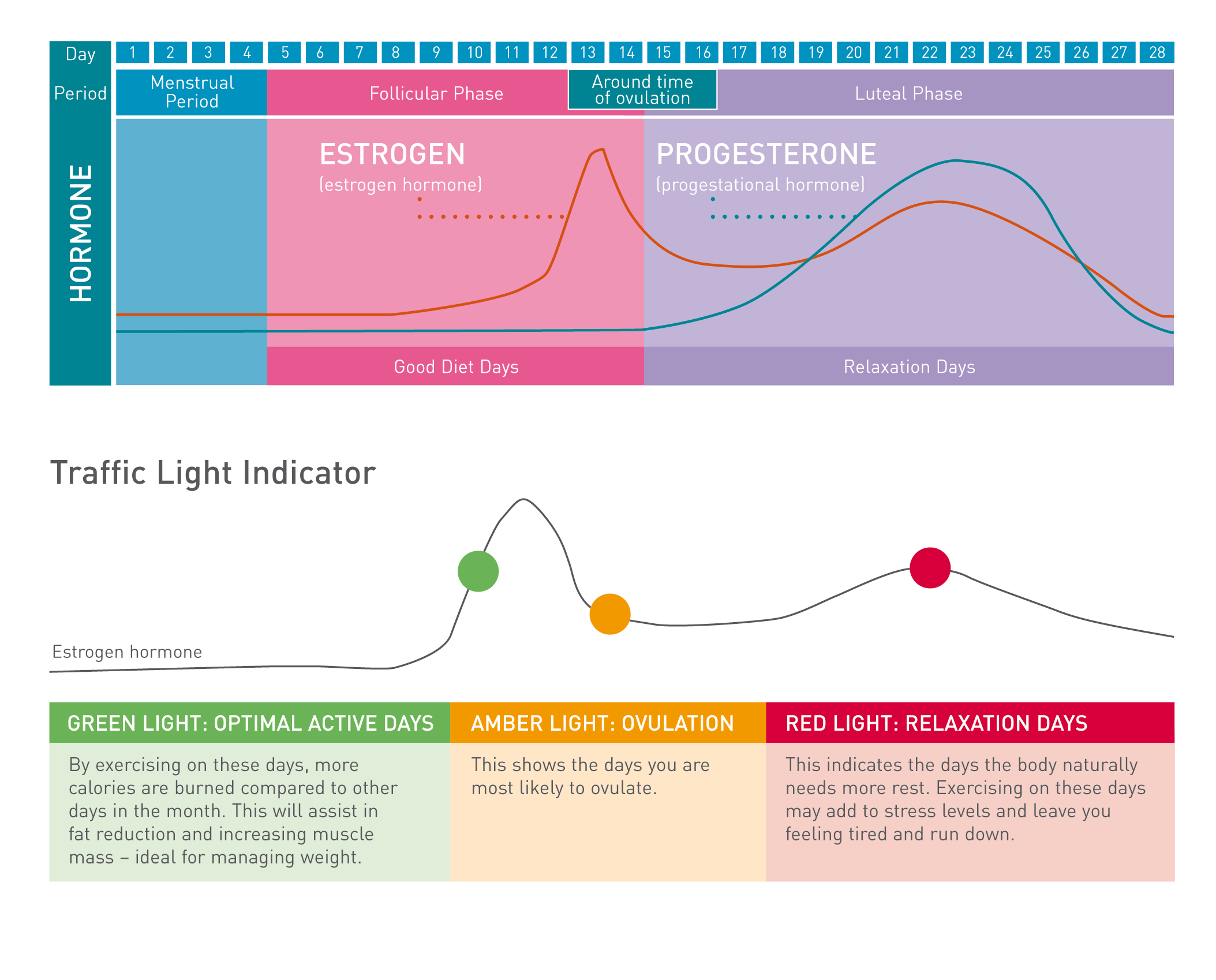 Understanding Tanita Measurements TANITA Asia Pacific Monitoring Your Health With TANITA