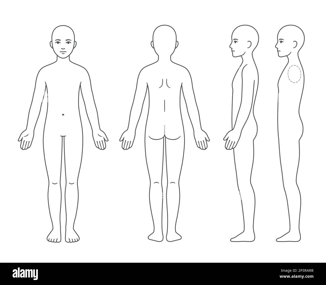 Unisex Body Anatomy Chart Naked Young Person Of Undefined Gender Front Back And Side View Blank Template For Medical Infographic Isolated Vector Stock Vector Image Art Alamy