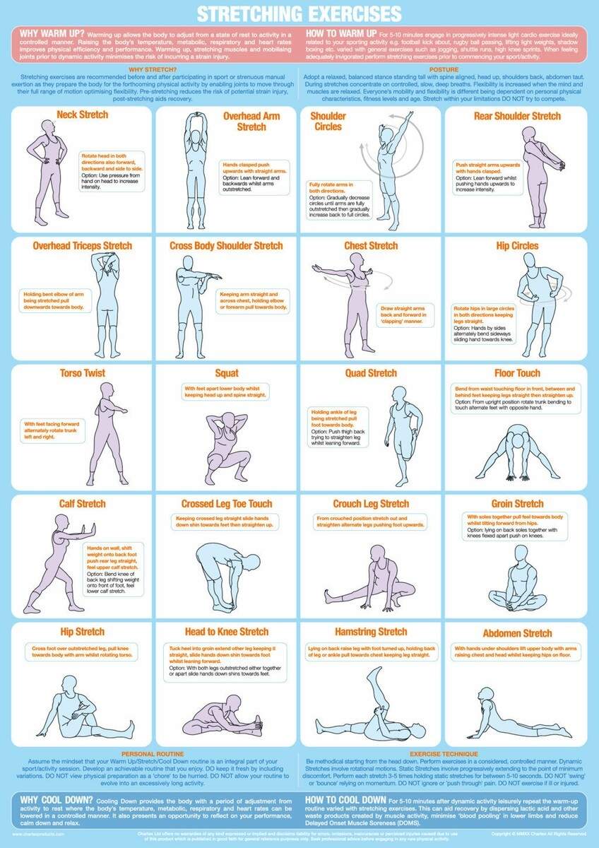 Upper Dynamic Lower Body Workout Lower Body Workout Cooldown Stretches For Legs Routine Types Of Upper Body Lower Body Stretches Pdf Lower Body Stretches Chart Walker B 9781905367153 AbeBooks