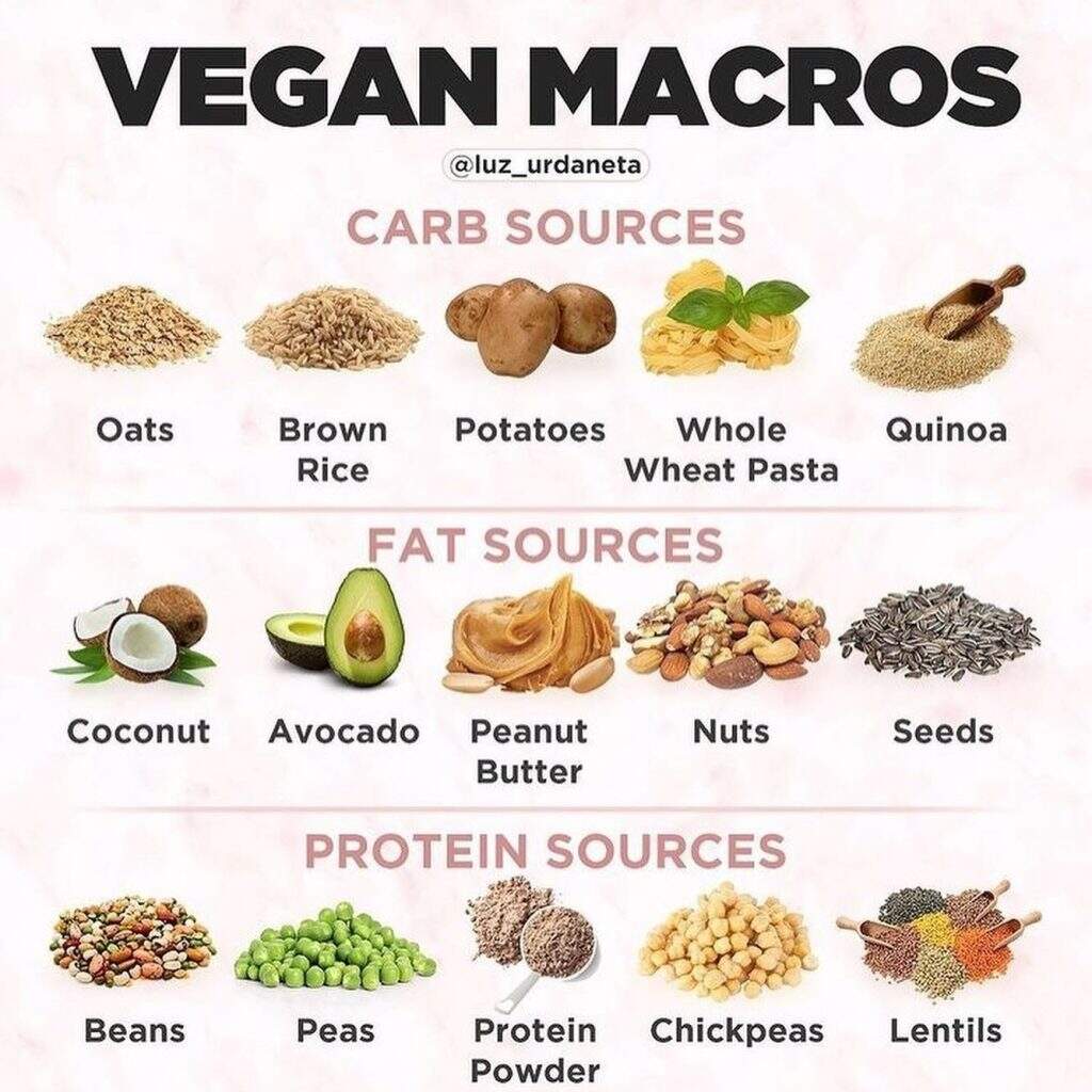 Vegan Bodybuilding How To Build Muscle On A Plant Based Diet Jacked Vegans
