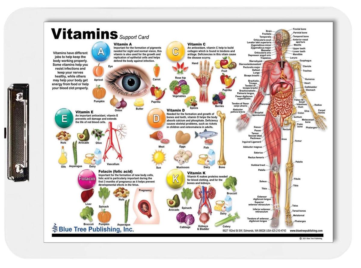 Vitamins And Anatomy Clipboard Chart Replaceable Nutrition Sources Chart Minerals Proteins Carbs Fats Vitamin Food Chart Fruit And Vegetable Knowledge 9x13 25inch Classroom Health Clipboards Amazon Ca Office Products Vitamins And Anatomy Clipboard Chart Replaceable Nutrition Sources Chart Minerals Proteins Carbs Fats Vitamin Food Chart Fruit And Vegetable Knowledge 9x13 25inch Classroom Health Clipboards Amazon Ca Office Products