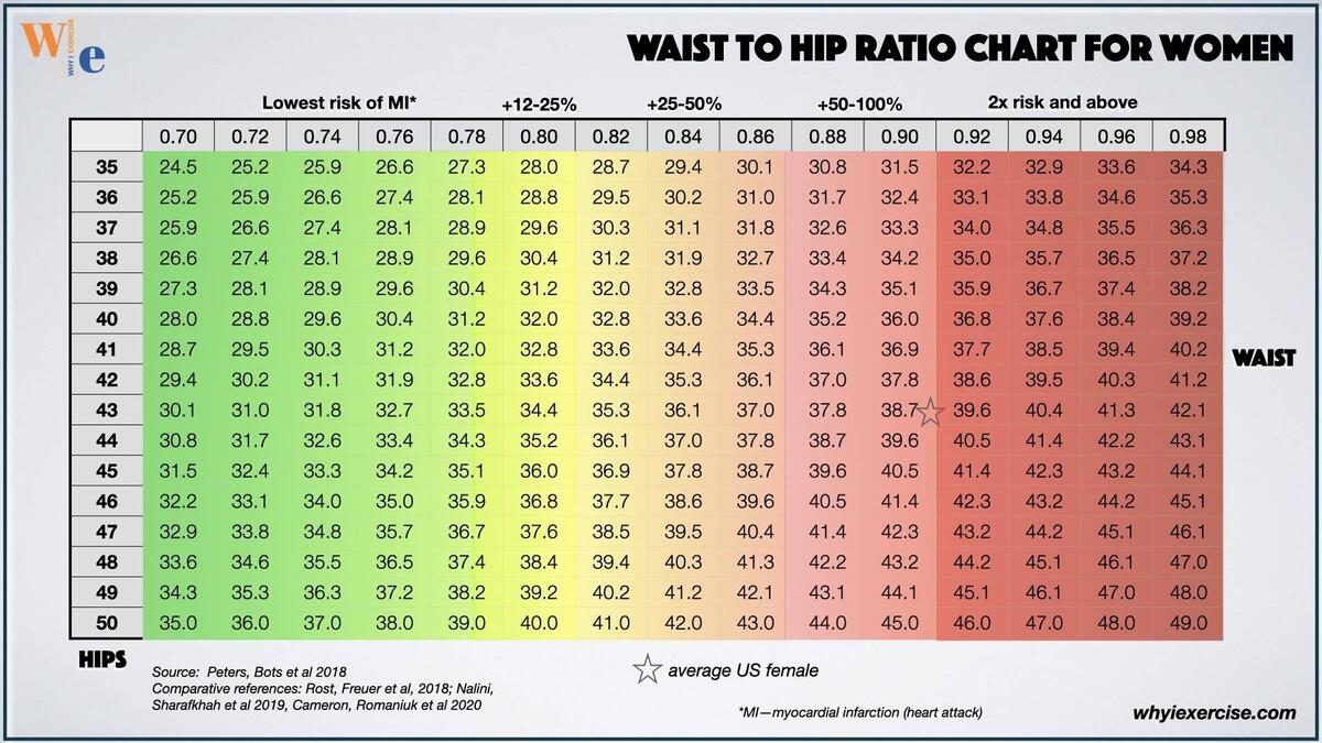 Waist Circumference Examining The Hidden Dangers Of Abdominal Obesity Waist Circumference Examining The Hidden Dangers Of Abdominal Obesity