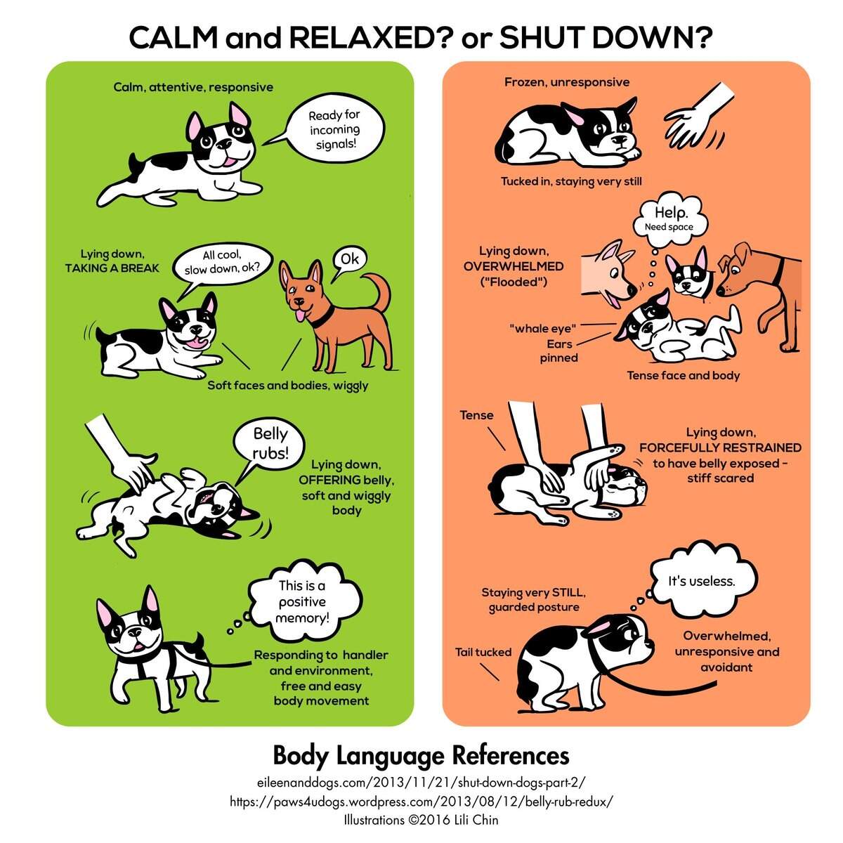 Behavior Basics Stuff You Need To Know