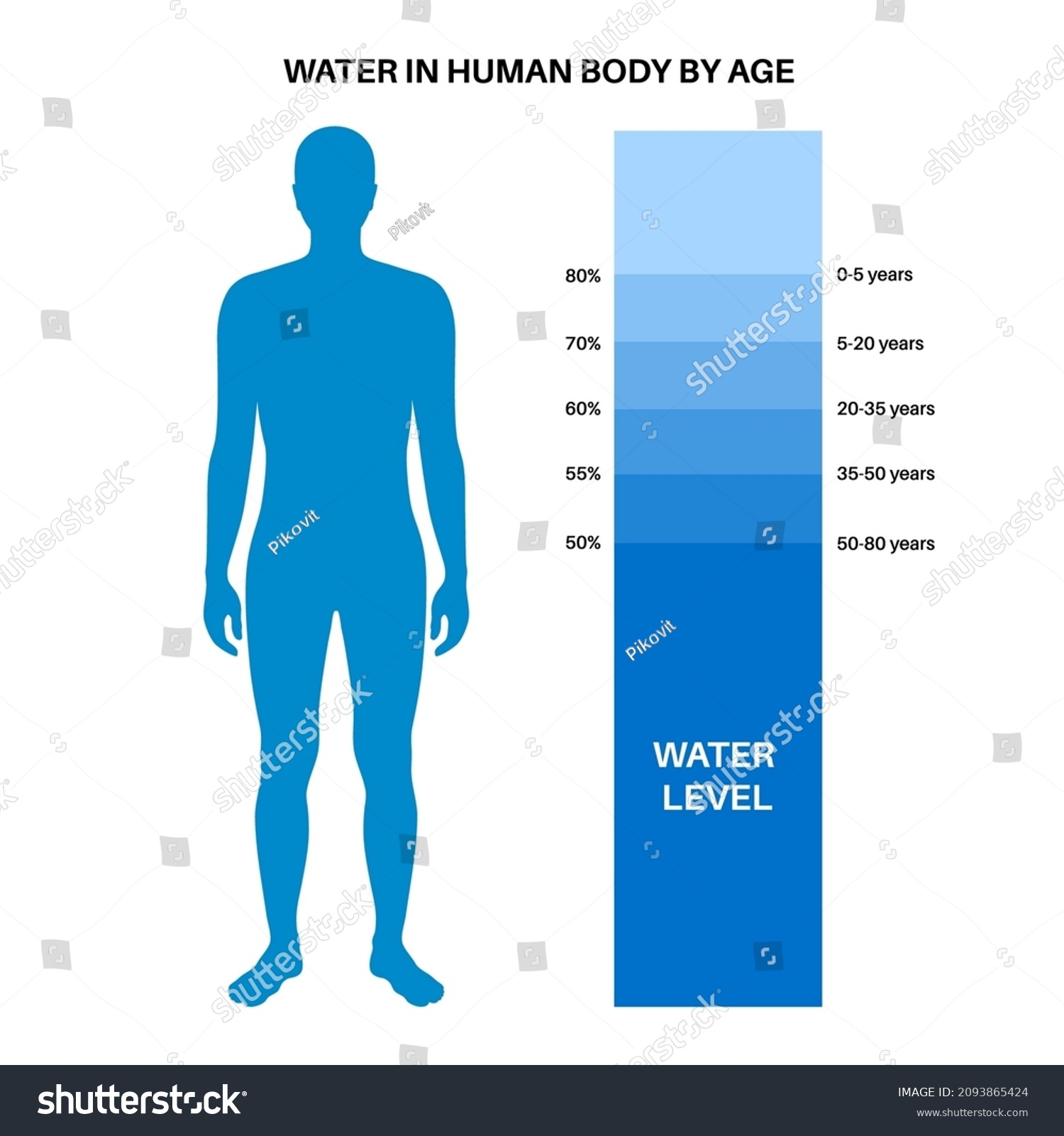 Water Body Balance By Age H2o Stock Vector Royalty Free 2093865424 Shutterstock Water Body Balance By Age H2o Stock Vector Royalty Free 2093865424 Shutterstock