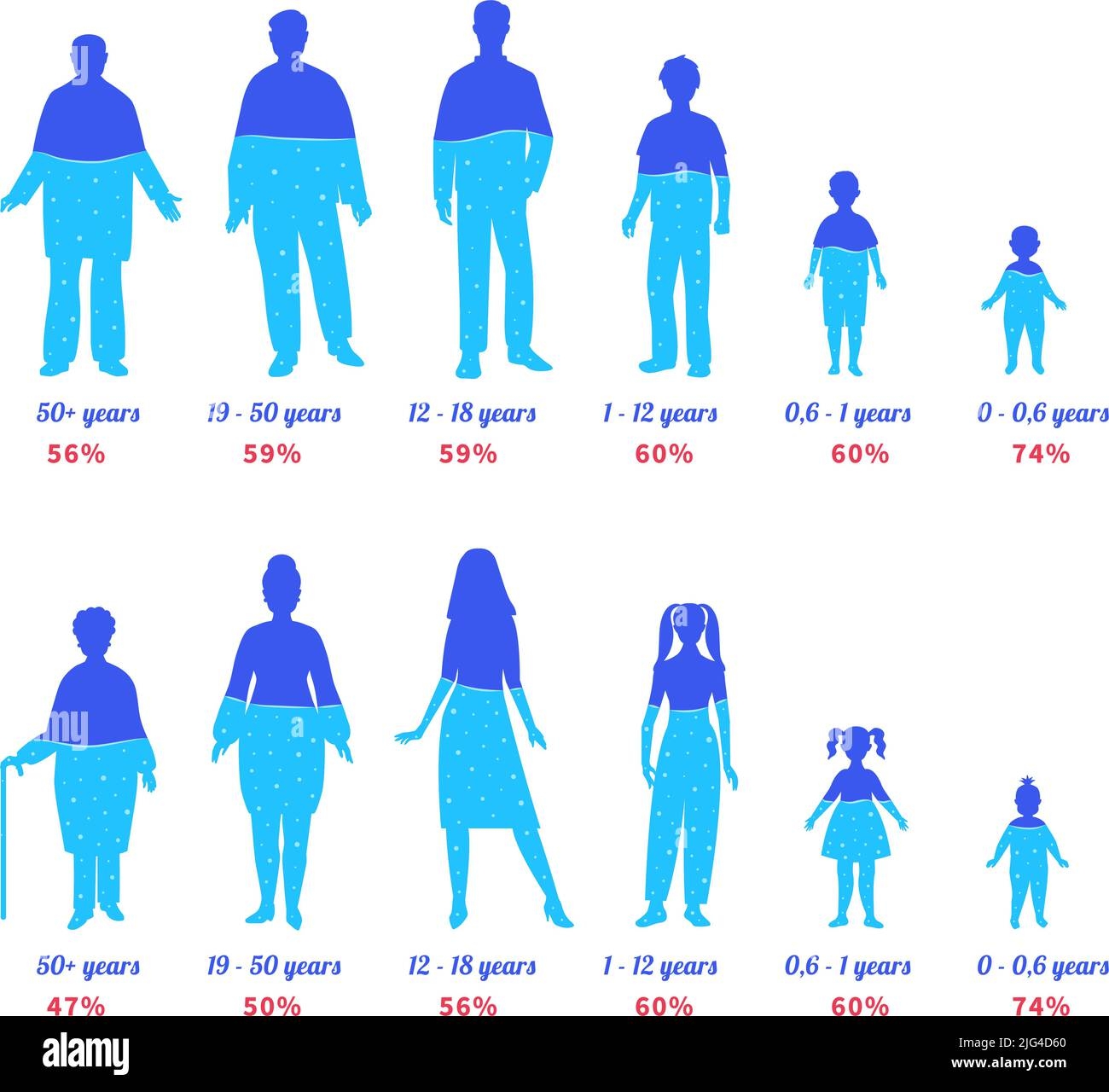 Water In Human Body Different Ages People Silhouettes With Water Percentage Hydration Level Chart For Female And Male Persons Vector Illustration Stock Vector Image Art Alamy Water In Human Body Different Ages People Silhouettes With Water Percentage Hydration Level Chart For Female And Male Persons Vector Illustration Stock Vector Image Art Alamy