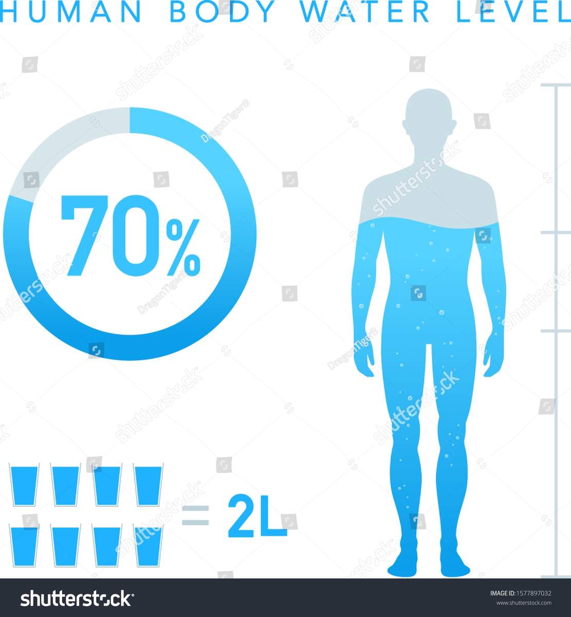 Water Percentage Human Body Illustration Chart Stock Vector Royalty Free 1577897032 Shutterstock Water Rate In The Human Body Is Seventy Percent Proportion H2o Female And Male Silhouettes Filled With 70 Water Pie Chart Stock Vector Illustration Of Liquid Aqua 205092847