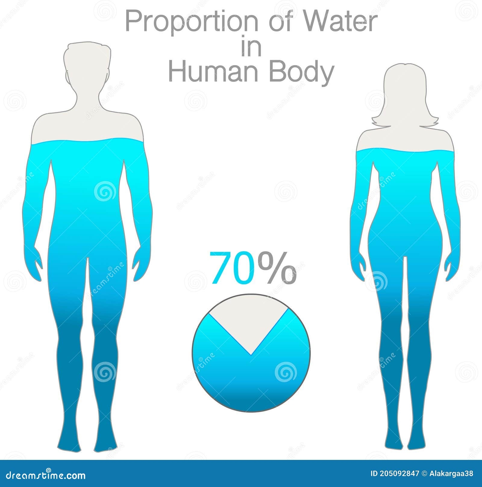 Water Rate In The Human Body Is Seventy Percent Proportion H2o Female And Male Silhouettes Filled With 70 Water Pie Chart Stock Vector Illustration Of Liquid Aqua 205092847 Water Rate In The Human Body Is Seventy Percent Proportion H2o Female And Male Silhouettes Filled With 70 Water Pie Chart Stock Vector Illustration Of Liquid Aqua 205092847