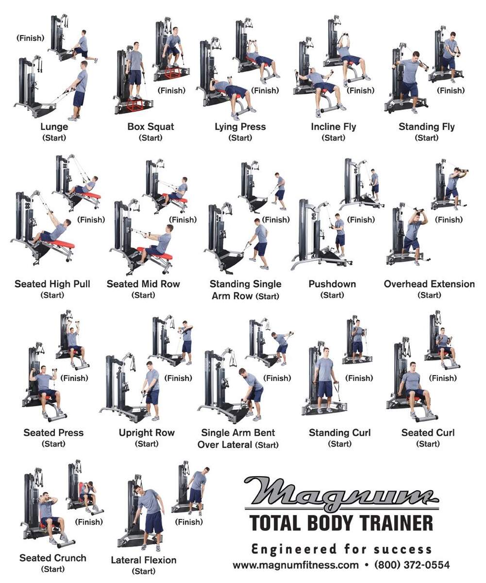 Weider Exercise Chart Weider Exercise Chart