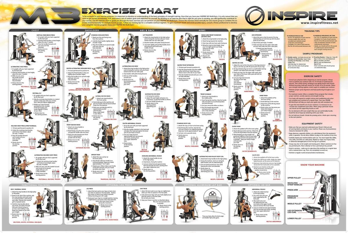 Weider Pro Total Bodyworks 5000 Exercise Chart Printable Weider Pro Weider Total Body Workout Weider Ultimate