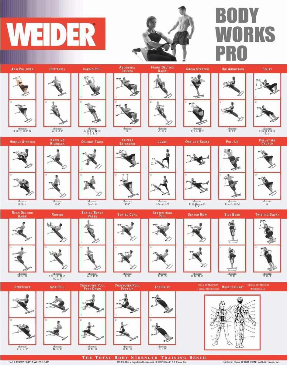 Weider Ultimate Weider Pro 9635 Exercise Chart Pro 9635 Weider Pro 4850 Cable Routing Weider 9940 Weider Ultimate Body Works Weider 2980 X Workout Routine Weider Home Gym Workout Poster Shop