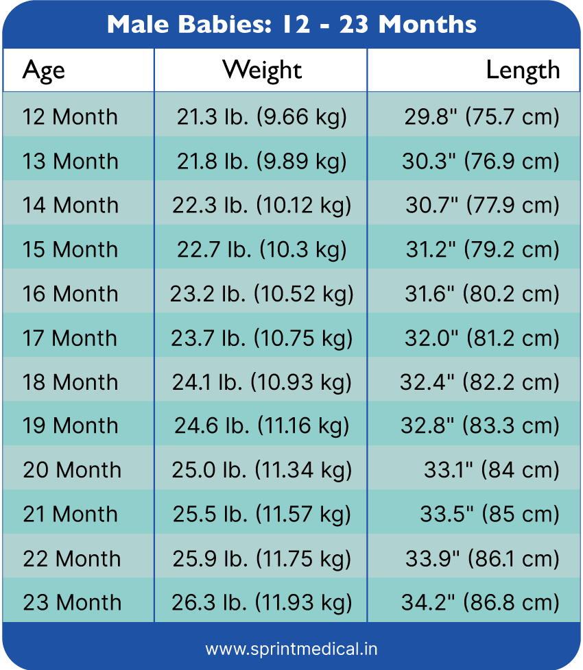 Weight Chart For Kids Understanding Baby Weight Charts Sprint Medical