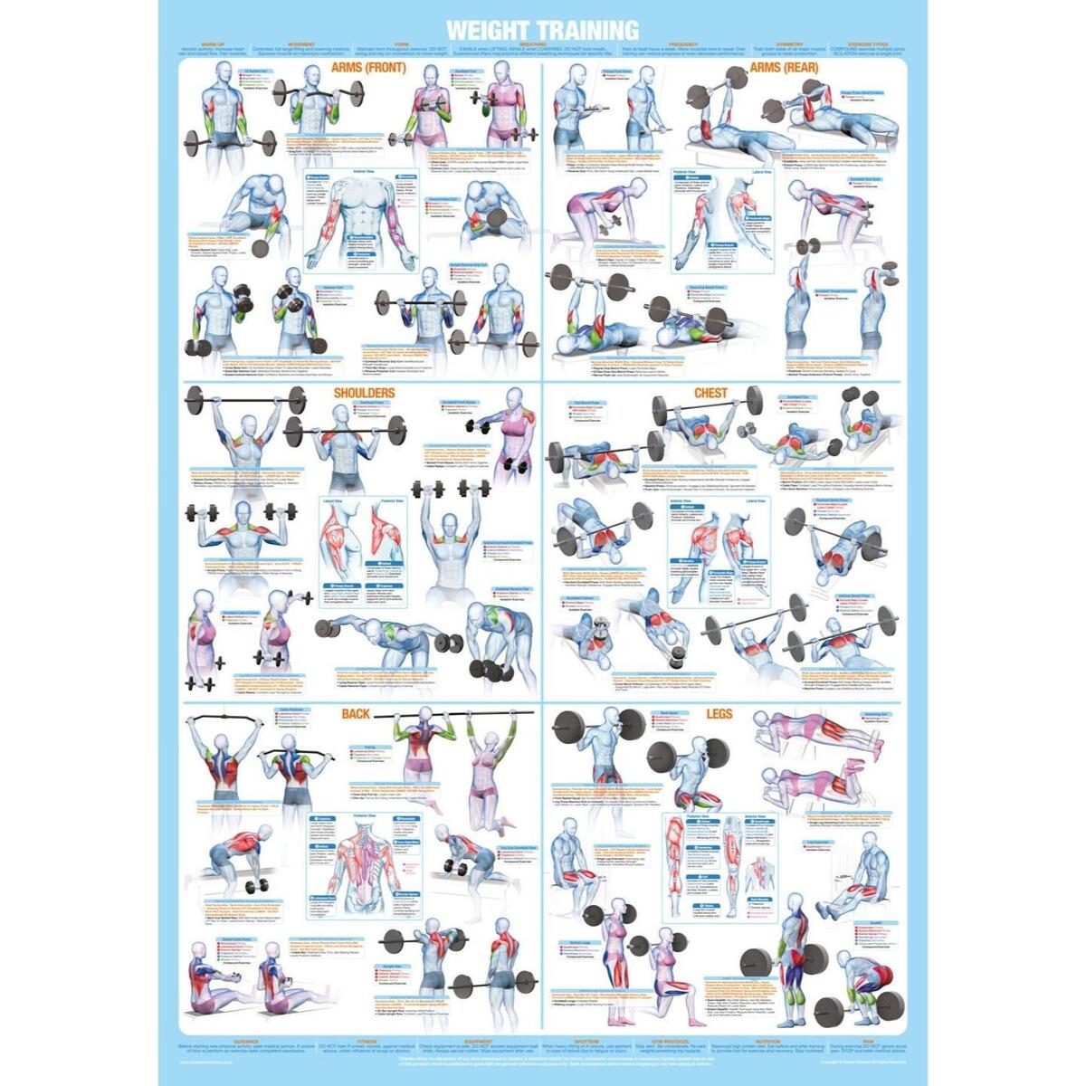 Weight Training Poster Full Body Workout Chart Etsy