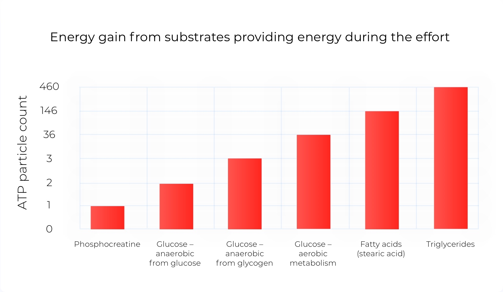 What Are 3 Energy Systems Of The Body Coaching Cyklopedia What Are 3 Energy Systems Of The Body Coaching Cyklopedia