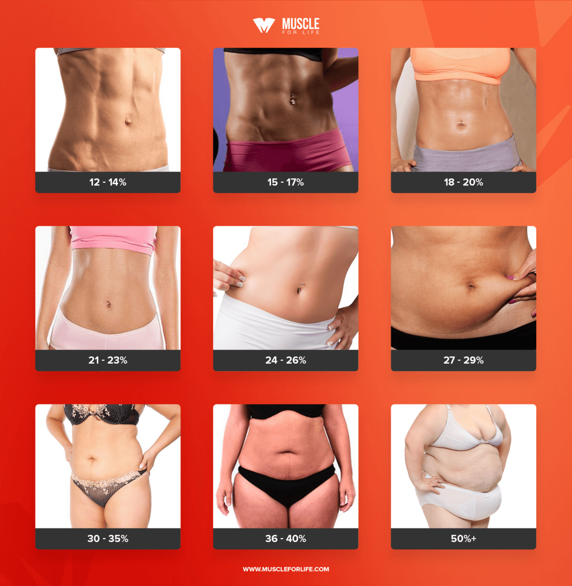 Average Female Body Fat Percentage Chart In PDF Download Template