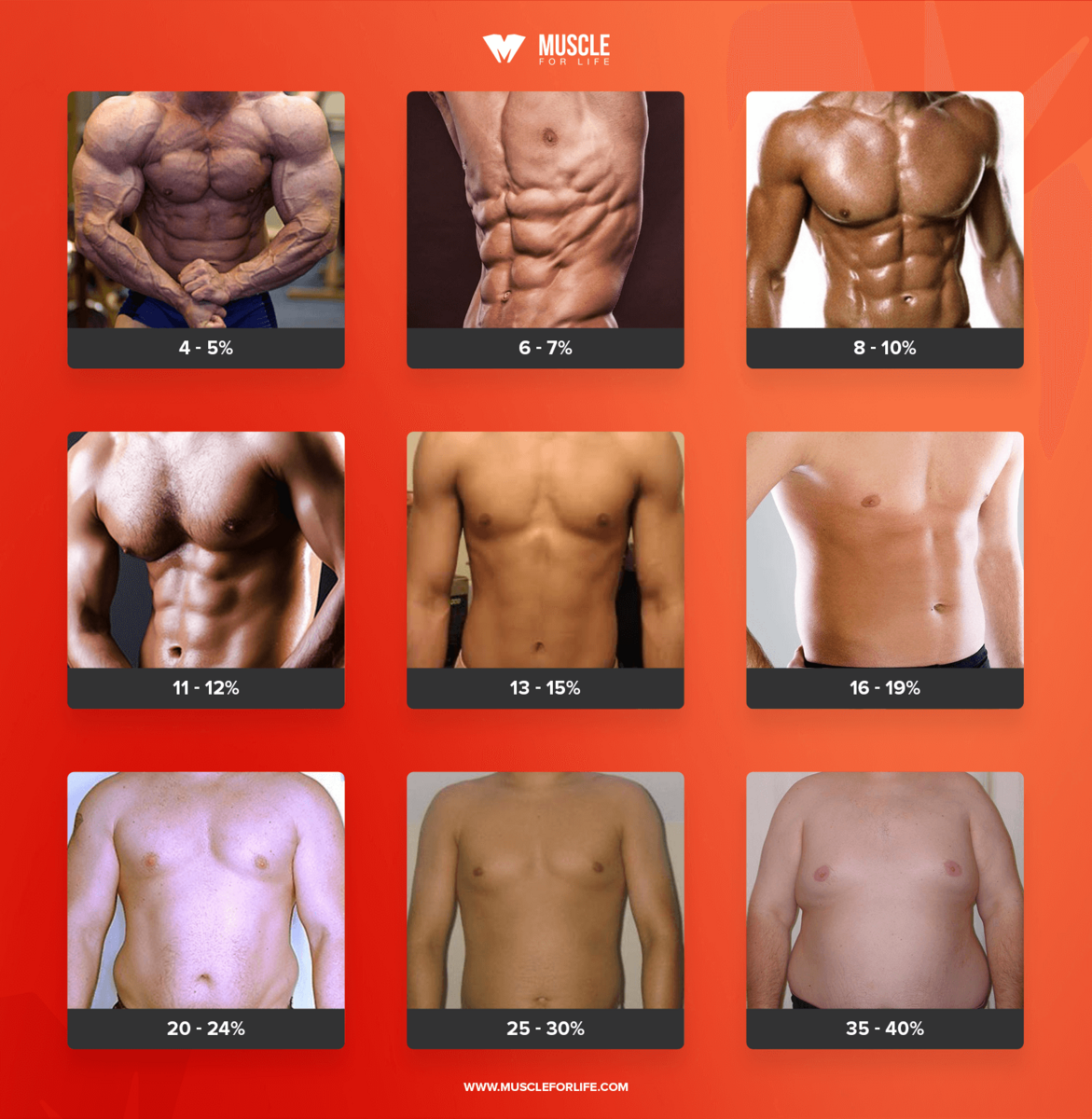 What Are Healthy And Unhealthy Body Fat Percentages Legion Athletics