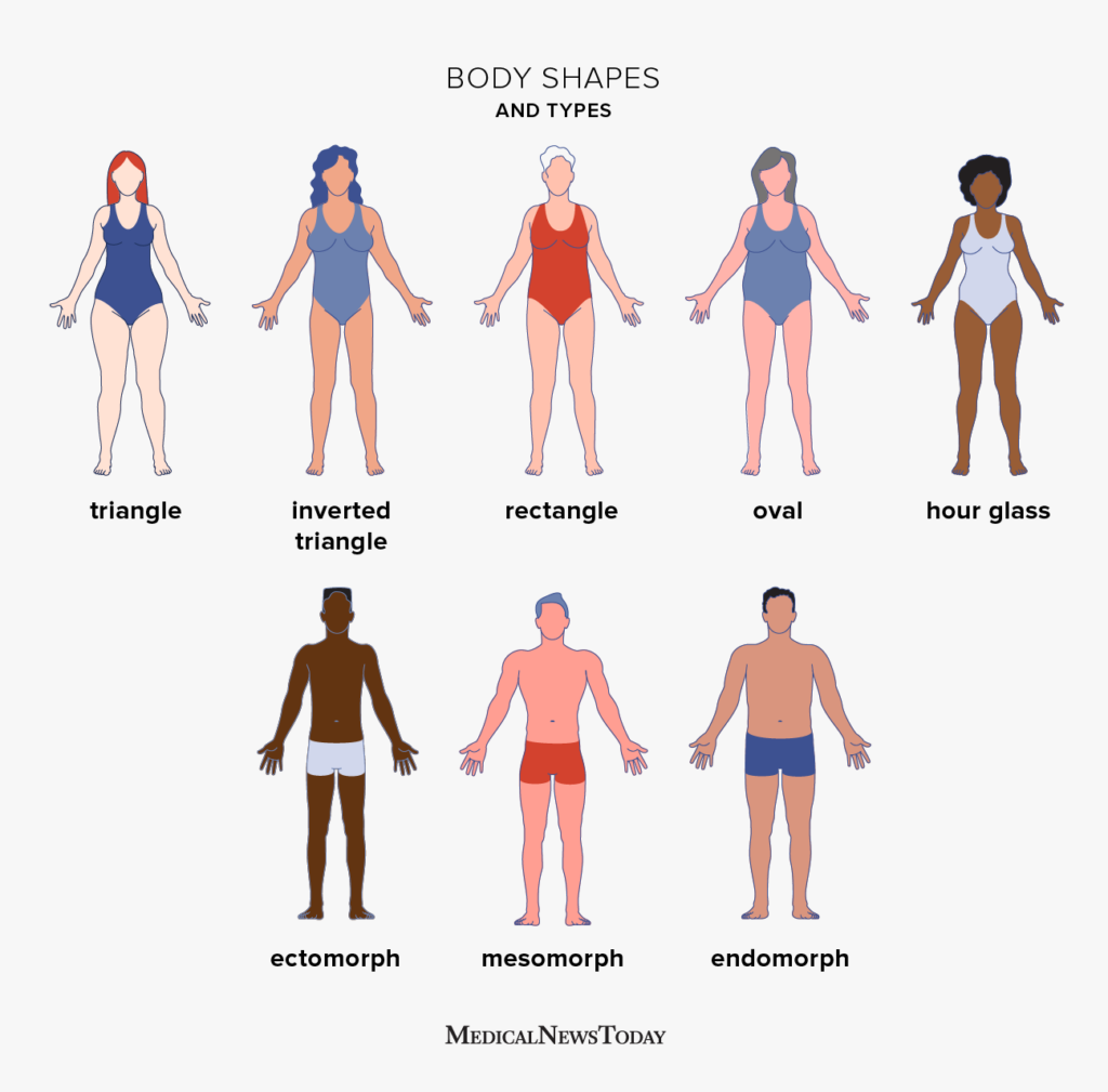 What Are Some Different Body Types What Are Some Different Body Types