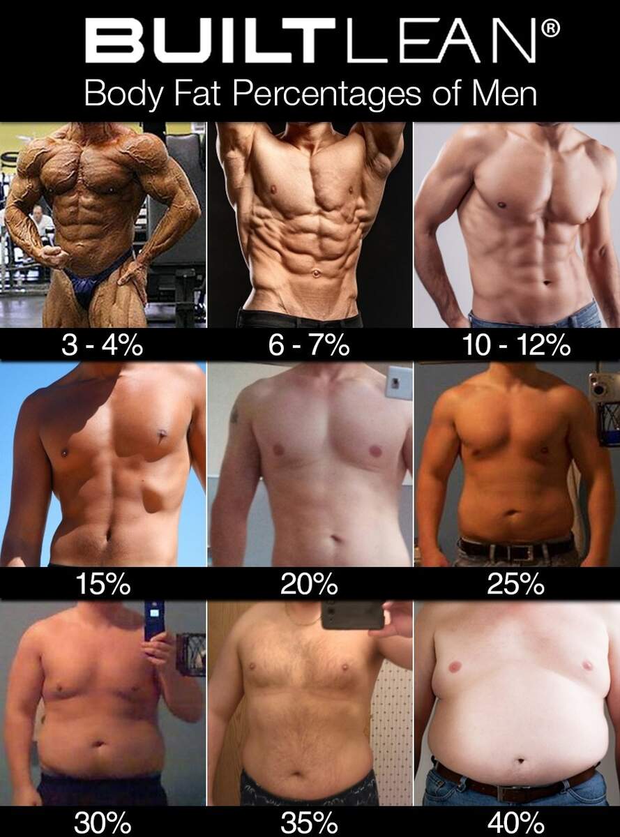 How To Calculate Body Fat Percentage Legion