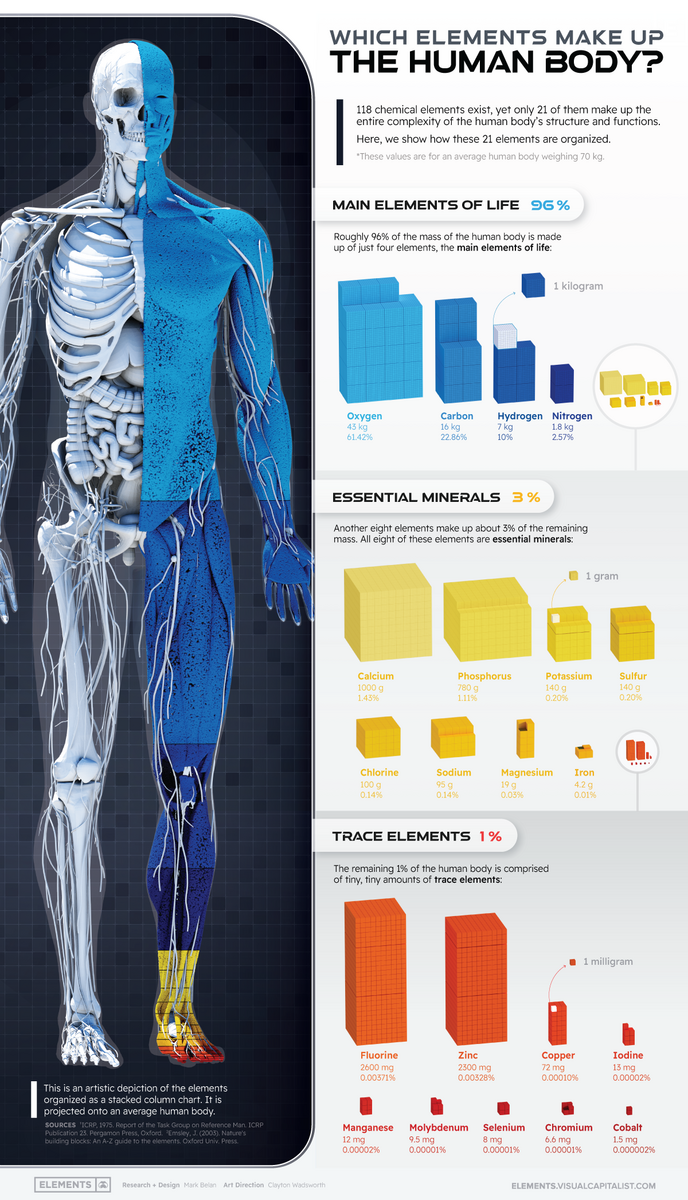 What Chemical Elements Make Up The Human Body