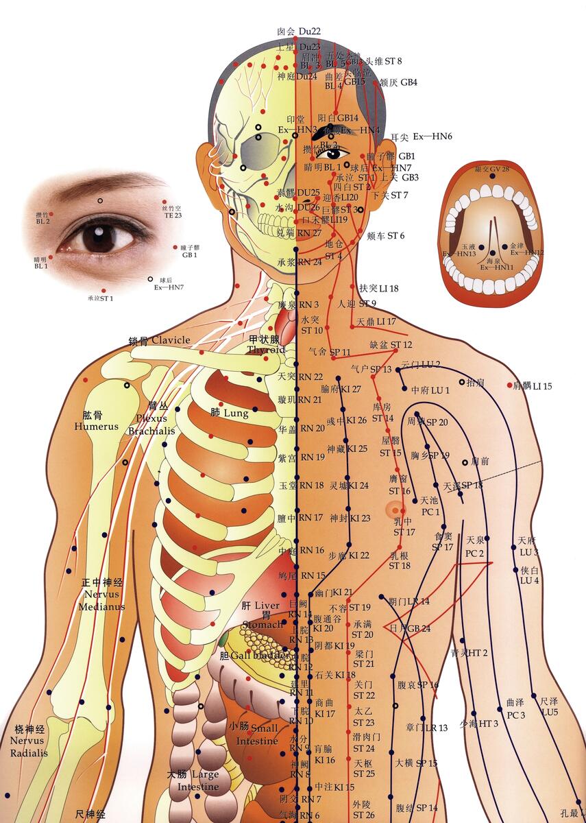 What Is Acupuncture 11 Live Natural Heal Natural Acupuncture