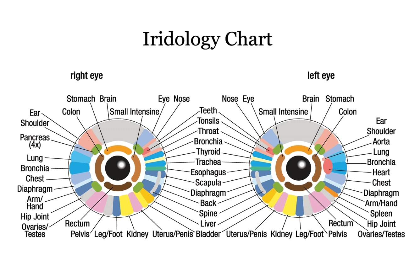 What Is Iridology Iridodiagnosis