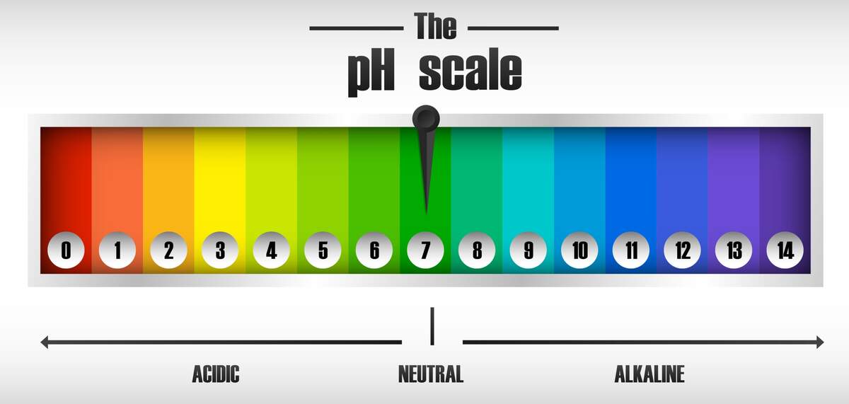 What Is PH Balance In The Human Body HEALTHIANS BLOG