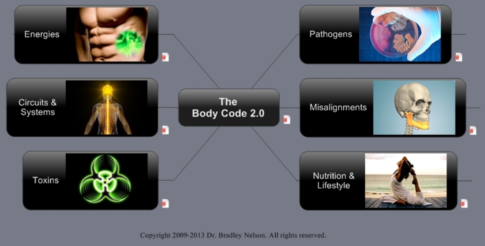 What Is The Body Code The Body Emotions