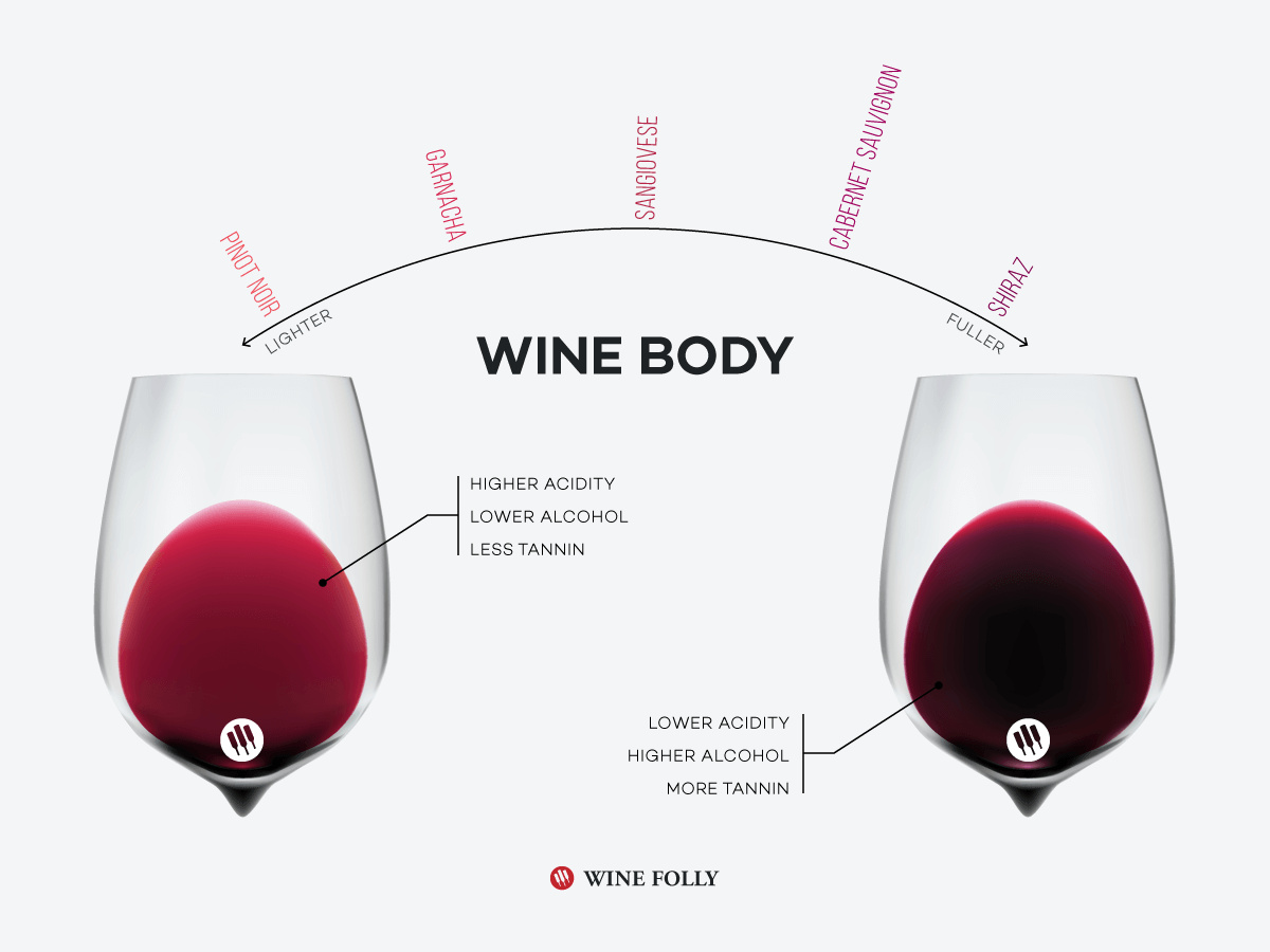 What Is Wine Body And How To Taste It Wine Folly What Is Wine Body And How To Taste It Wine Folly