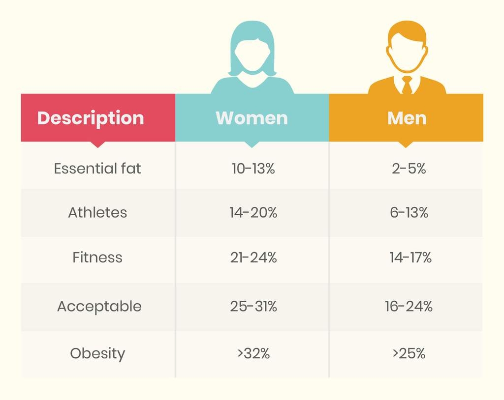 What Is Your Body Fat Percentage Sugar Fit