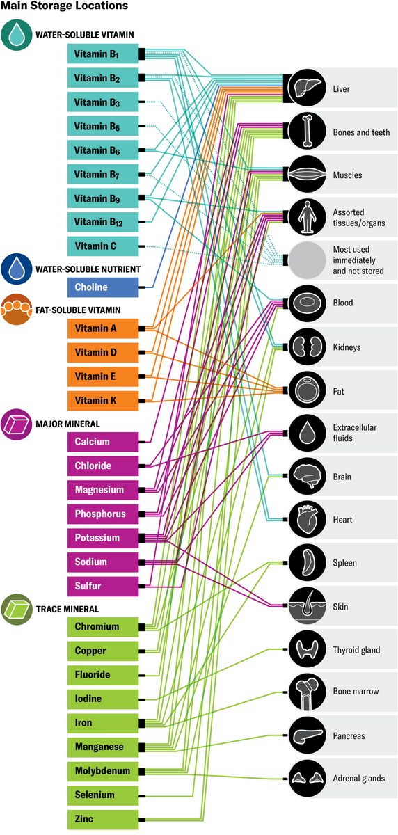 What Vitamins And Minerals Really Do In Your Body Scientific American