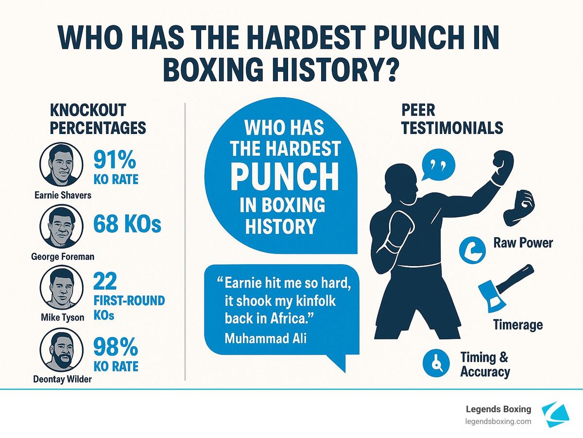Boxing Punches How To Throw And Get Power Heavy Bag Pro