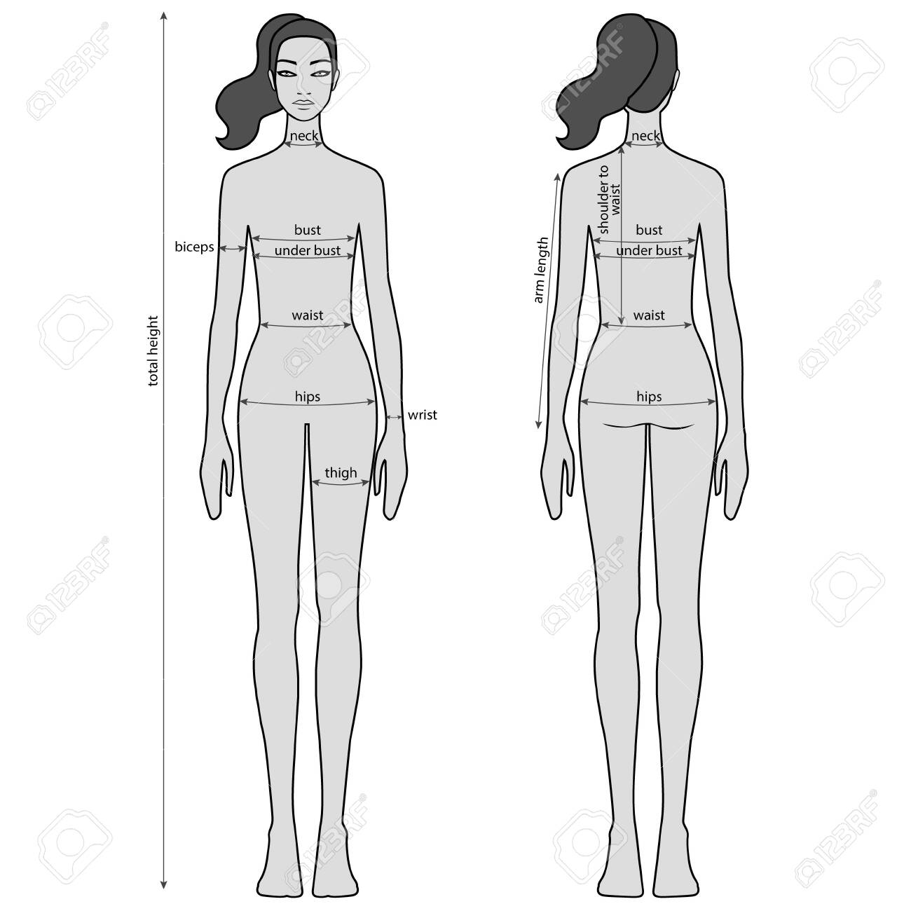 Woman Body Measurement Chart Female Figure Front And Back Views Vector Royalty Free SVG Cliparts Vectors And Stock Illustration Image 148977171