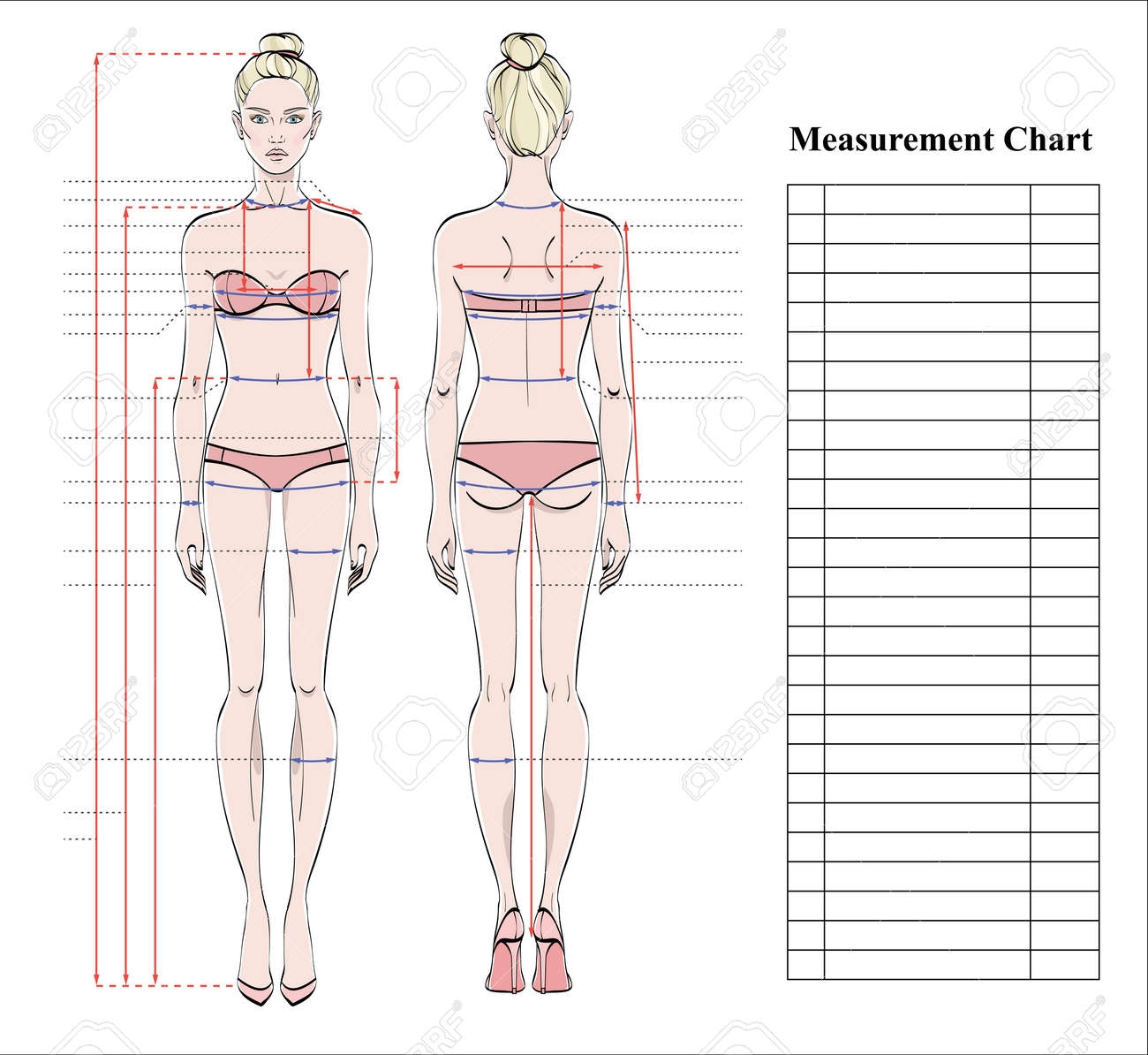 Woman Body Measurement Chart Scheme For Measurement Human Body For Sewing Clothes Female Figure Front And Back Views Template For Dieting Fitness Vector Royalty Free SVG Cliparts Vectors And Stock Illustration Image