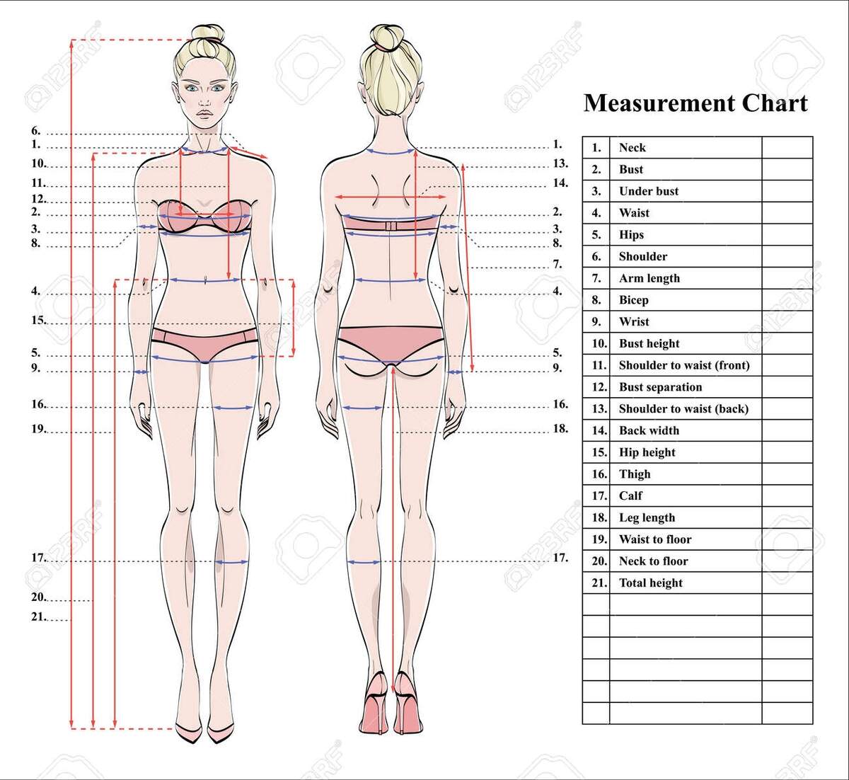 Woman Body Measurement Chart Scheme For Measurement Human Body For Sewing Clothes Female Figure Front And Back Views Template For Dieting Fitness Vector Royalty Free SVG Cliparts Vectors And Stock Illustration Image